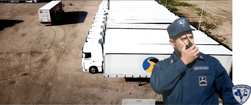 Sistemi di sicurezza del parcheggio: videosorveglianza e accesso controllato